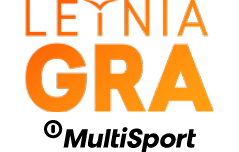 Letnia gra logo